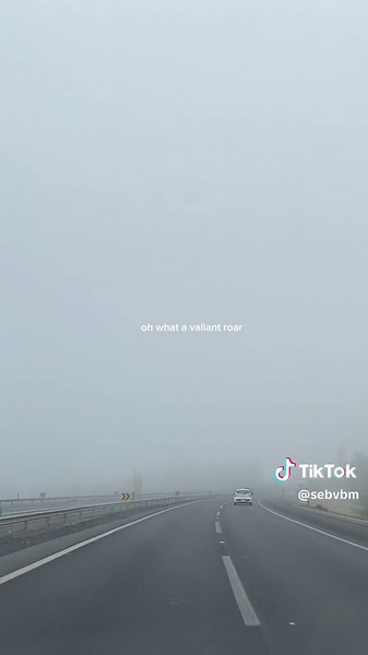 Taylor Swift Loml Lyrics Video