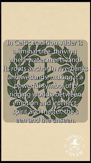 Celtic Tree Month of Alder