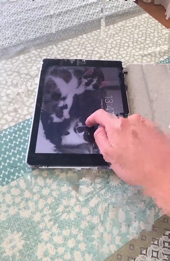 Exploring Reality Through Trippy Datamoshing