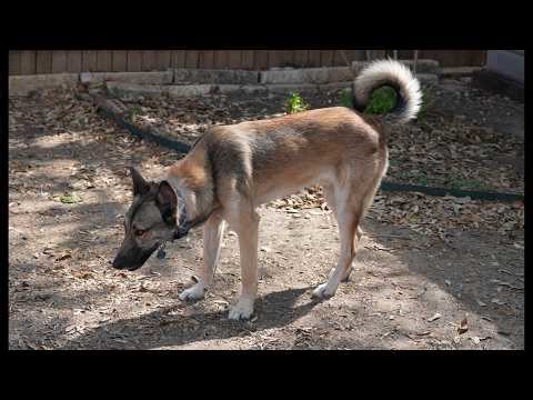 Sony A6700 Comparison Between E 16-55mm G & Sigma 18-50mm DC DN Photo