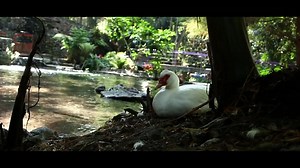 ¡Te invitamos a ver el detrás de cámaras de la grabación de #Platinum con María Alejandra Molina! http://bit.ly/1BbAqKr | Azteca 7