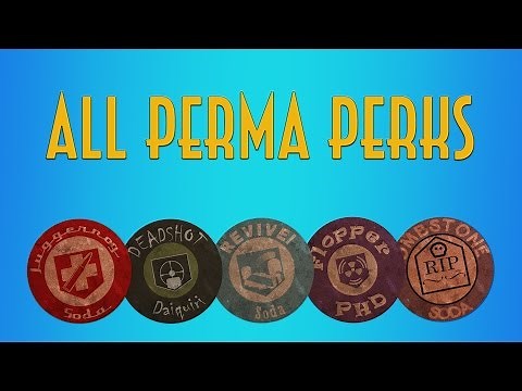 All Perma Perks (Persistent Upgrades) How to get / lose / KEEP! Call of Duty Black Ops 2