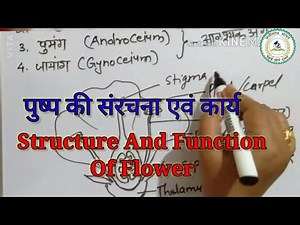 Structure And Function Of Flower// पुष्प की संरचना एवं कार्य (Hindi medium)