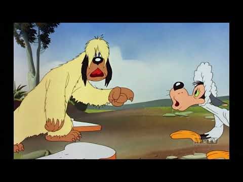 The Sheepish Wolf (1942)🐺🐑| Classic Warner Bros Cartoon | Funny Vintage Animation in HD | #cartoon