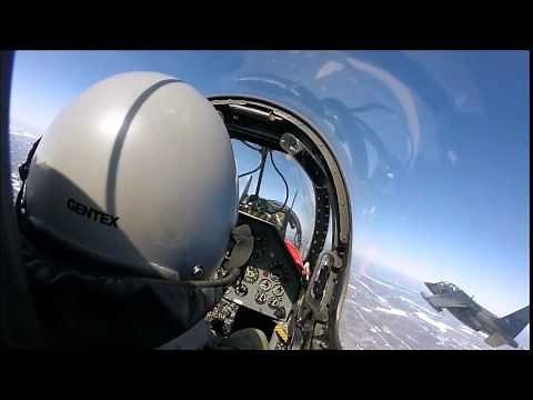 Dassault/Dornier Alpha Jet (Raw footage)