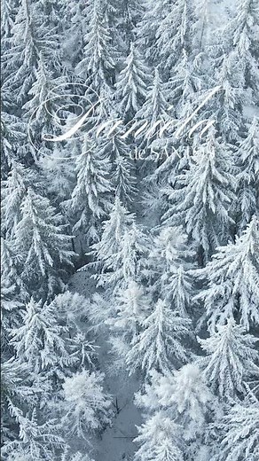 White Christmas - Daniela de Santos - Pan flute