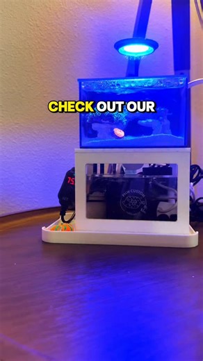 Meet the new PNW Custom Micro Bucket in our Micro Tank Plug-N-Play Kit 👀🪣 Super cute and packed with the tools you need for maintenance, fragging, feeding, and keeping your Micro Tank thriving. Plus, it makes 30–50% water changes a total breeze. Get started today with our Plug-N-Play Kit and create your own desktop oasis! | PNW Custom