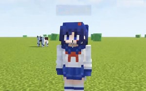 是的，和帽子玩mc