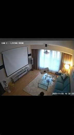 Kid SMASHES Projector in 1 Sec 💥 Silence Speaks