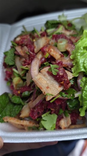 Discover the Best Raw Laab at Destiny Cafe 2