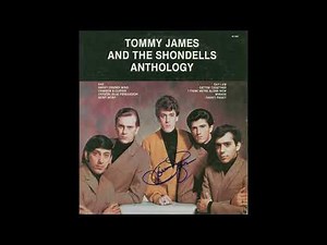 TOMMY JAMES & THE SHONDELLS- "MIRAGE" (VINYL UPLOAD+ LYRICS)