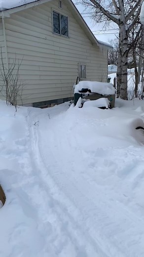 Young Girl Riding Kitty Cat Snowmobile in Backyard