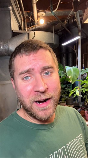 Effective Washing Machine Cleaning Tips with Active Cleaners