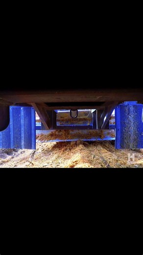 Discover the Life of Logging Workers on Ax Men