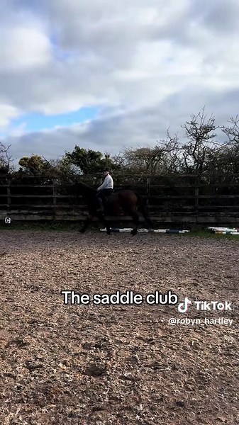 this was actually so much fun #horsesoftiktok #horses #equestrian #amateurshowjumping #dressage