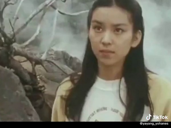 Yayang Hobby Shop on TikTok