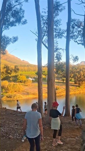 Evening walks 🌲🍂 #stellenbosch #southafrica #travelsouthafrica #travelvlog #outdoors #adventure #fyp