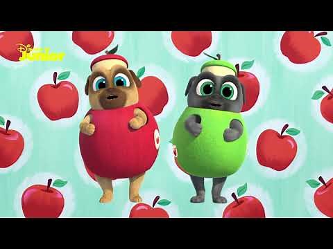 New Episodes | Puppy Dog Pals 🐶 | Disney Junior Arabia