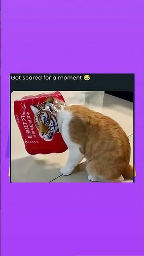 HIGH IQ MEMES#funny#funnyvideose