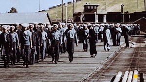 24K views · 499 reactions | On this day in 1944, a massive explosion...