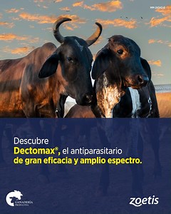 Dectomax® ofrece un amplio espectro de acción contra: 1️⃣ Garrapatas 2️⃣ Mosca del cuerno 3️⃣ Parásitos gastrointestinales 4️⃣ Parásitos pulmonares 5️⃣ Ácaros productores de sarna 6️⃣ Piojos masticadores Consulta al Médico Veterinario, Dectomax® puede beneficiarte a tí y a tu ganado. DECTOMAX®, Reg. Q-1196-209. Uso veterinario. Consulte al Médico Veterinario. Su venta requiere receta médica. #Zoetis #ConexionZoetis #garrapatas #SaludAnimal #ZoetisMéxico #GanaderíaProductiva #SaludBovina #Dectoma