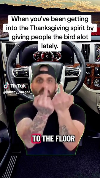 #bird #turkey #holidays #thanksgiving #spirit