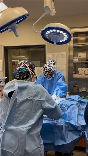 This week, our incredible veterinary team, alongside a board-certified surgeon, performed life-saving procedures for some brave pets. Now, they need a safe space to heal. 💛 A foster home provides the calm, loving environment they need to recover, away from the risk of shelter illnesses like kennel cough.You can be their hero. 🏡 Become a foster and give them the second chance they deserve. Email ASDfoster@miamidade.gov for more info #FosterLove #SecondChances #healingpaws #FosteringSaveLives | 