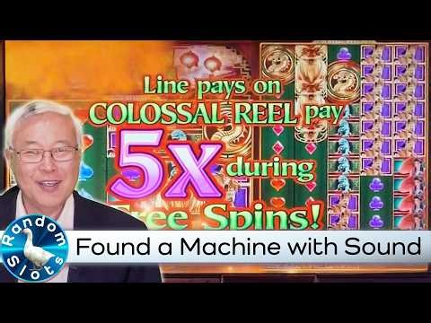 Forbidden Dragons Slot Machine Bonus on a Machine with Sound