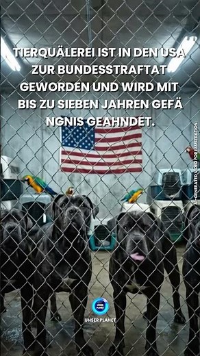 Bundesstraftat Tierquälerei-Gesetze Jetzt Wirksam