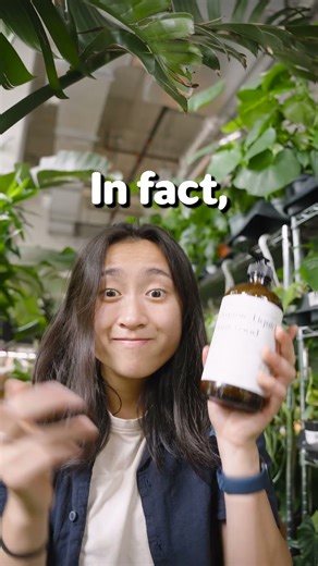 💚 Fertilizer isn’t medicine for sick plants! #houseplantcare #indoorplant #houseplantlove