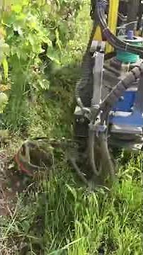Coupe-fil sur chenillette dans les banquettes en devers de Lavaux (viticulture - engrais verts)