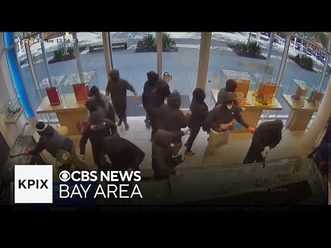 Bay Area smash-and-grab thieves getting caught using technology, police collaboration