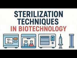 Sterilization Methods