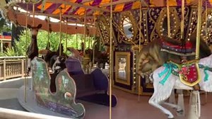 The Keep-Around Carousel is OPEN! The eggs have hatched and the chicks have fledged, and we are happy to once again be able to run this Happy Hollow favorite for you! Which carousel animal will you be riding on your next visit?🎠 DYK: The black and white ruffed lemur on the carousel was made specially for Happy Hollow! | Happy Hollow Park & Zoo