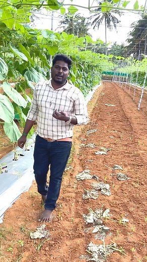 8.8K views · 439 reactions | Plastic Mulching Both, black and...