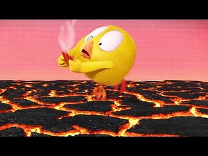 Watch out Chicky! | Where's Chicky? | Cartoon Collection in English for Kids | New episodes