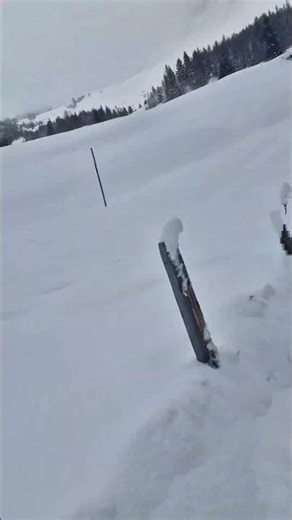 Castle Peak Avalanche Disaster 2026 | Shocking Snow Tragedy in California | Breaking News