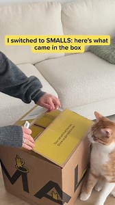 Smalls is on a mission to make nine lives ten by prioritizing cats over profit. | Smalls