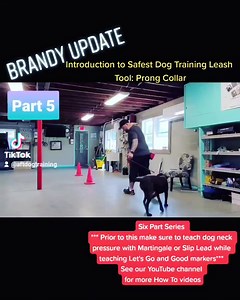 Brandy Update. Introduction to safest #dogtraining tool: Prong collar. World renowned veterinarian Dr Kamen, writes in his book on how the #prongcollar is the least dangerous, least aversive, and is in fact the safest dog training tool. When he was recently asked if he still stands by those statements today, he confirmed that he indeed does. This a 6 part series. We filmed this session Live on Instagram and Tiktok. This was a much longer session. ---- If you are interested in having your dog pro