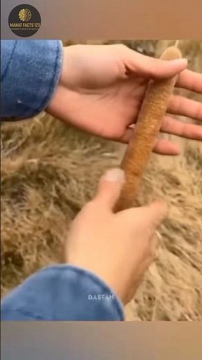 😱 Amazing Facts that'll blow 🌬️ your mind | 50 Mind Blowing & Fun Facts You Didn’t Know! #facts