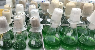 Researchers Rebuild Microscopic Circadian Clock That Can Control Genes | Newswise