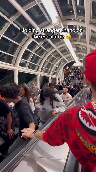 Master of the Rizz Game