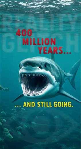 The Truth About Shark Age 🦈 #realityglitch #sharks