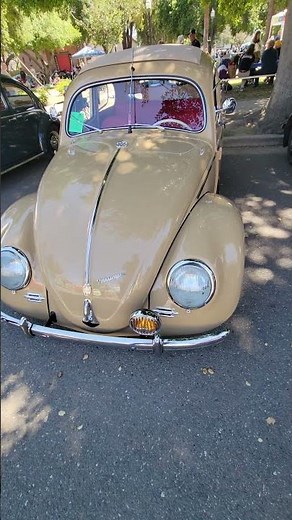 Split window VW Beetle Zwitter early 1953