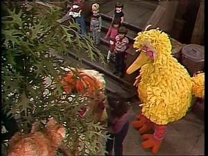 Sesame Street 1466: Barkley Meets a Cat (1980)
