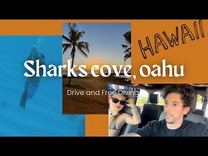 Day Trip to Oahu – Free Diving at Sharks Cove! Hawaii Adventure POV 4K