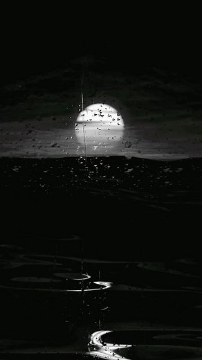 Islamic Music TikTok'ta