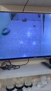 50K views · 1.2K reactions | Dogs behavior EP. 3  - Separation anxiety | Milo & Friends | Facebook