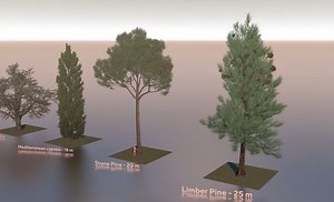 Animated comparison of tree sizes