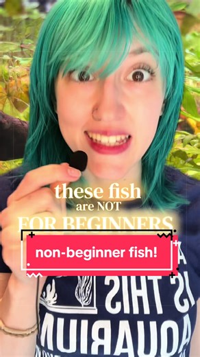 Challenging Fish for Beginners: What to Know